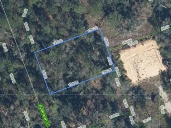 9408 Elder Berry Ct Lot 15, Sebring, FL 33875