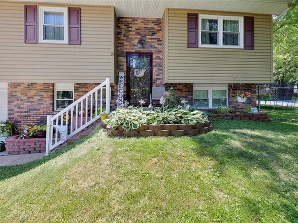 8 Ava Ct, Farmington, MO 63640