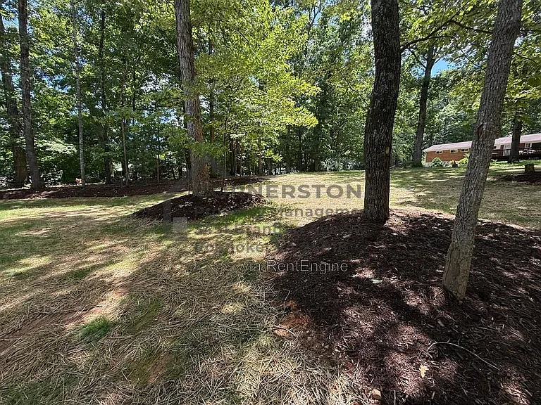 4514 Buck Mountain Rd — Photo 28