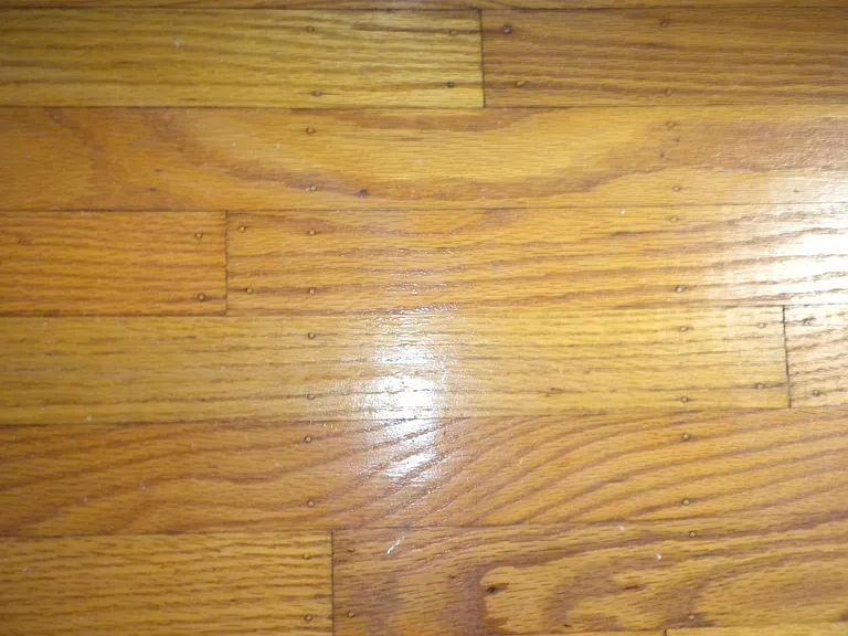 1038 Parkway Dr — Photo 28