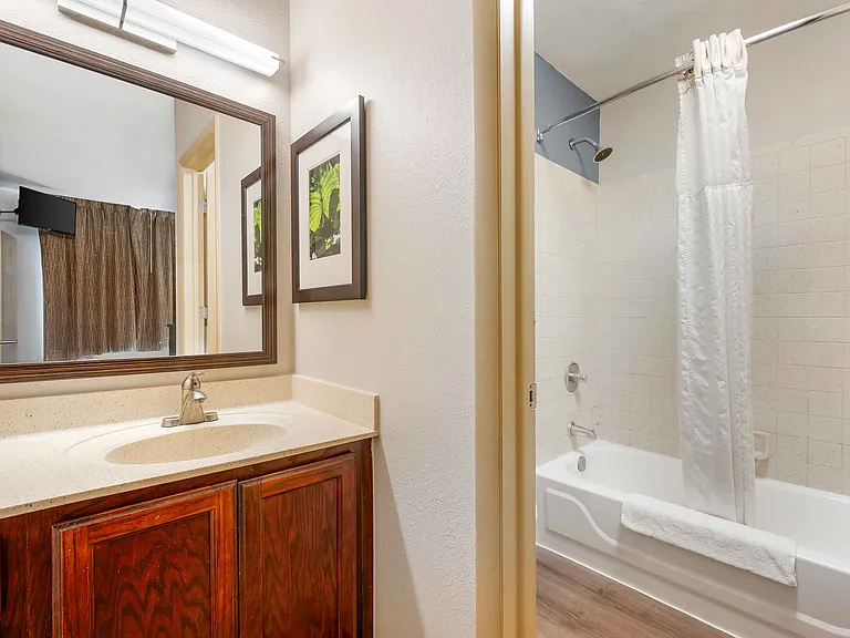 1 Bedroom Suite - 1 King Bed