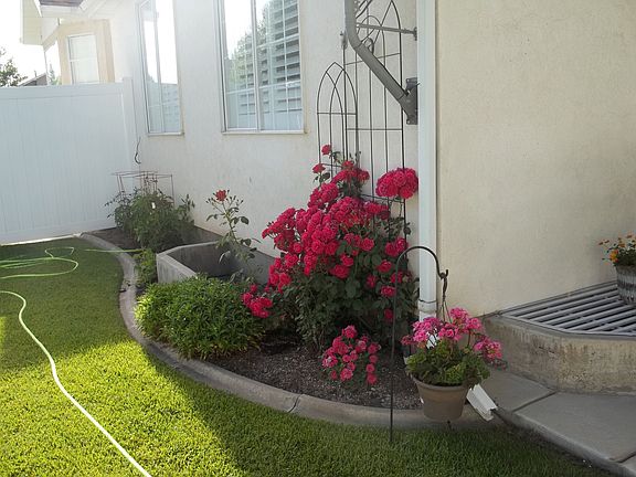 South East BackYard