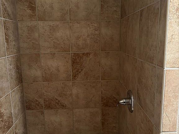 Front bathroom tiled shower