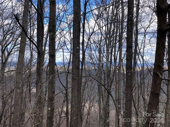 Bobcat Mountain Rd #21, Purlear, NC 28665