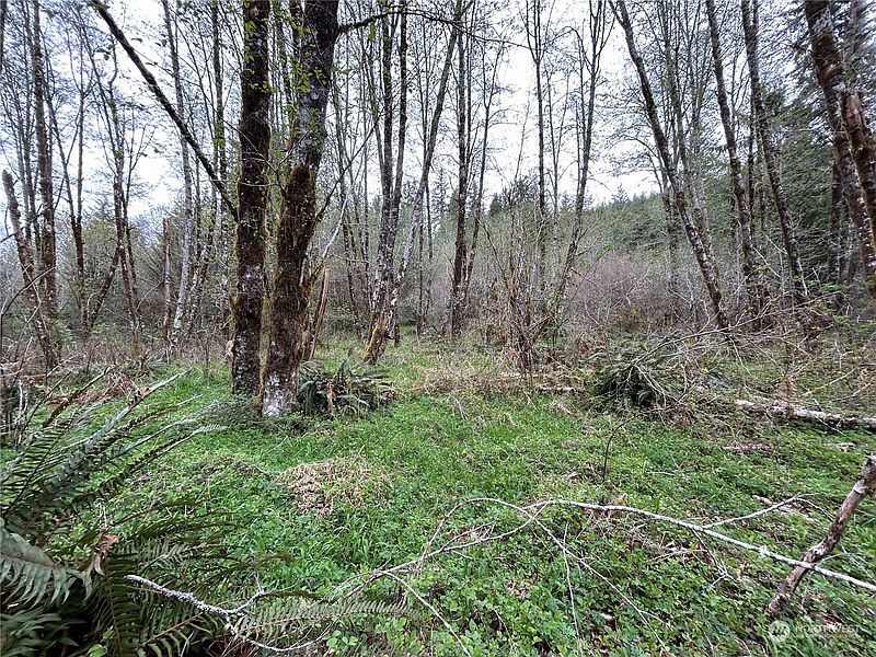 2nd image of 0 Lot 3 Abernathy Creek Road