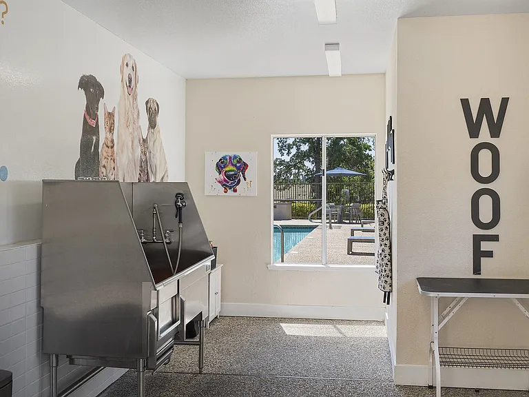 On-site Pet Spa