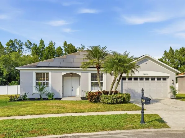 18020 Sparrows Nest Dr, Lutz, FL 33558