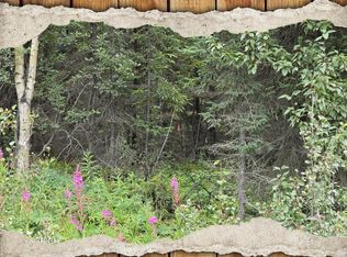 34290 Browns Lake Rd, Soldotna, AK 99669