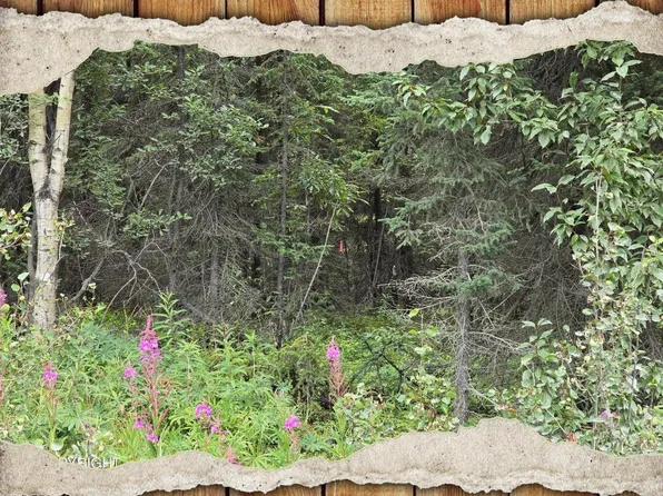 34290 Browns Lake Rd, Soldotna, AK 99669