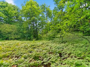 V/l 9 Mile Rd, Copemish, MI 49625