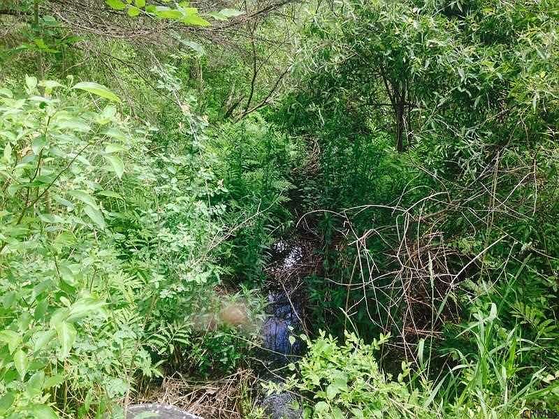 5th image of 299 MIDDLE LINE Road