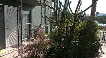 1st image of 8492 Parkway Dr