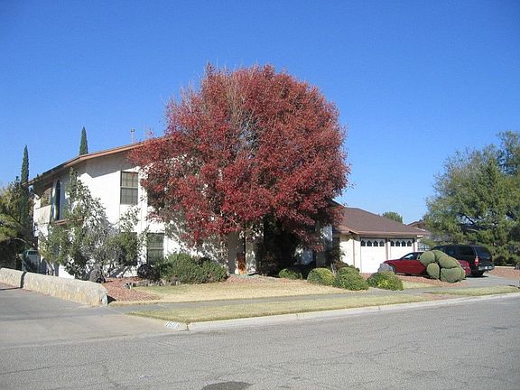 Looking NE in November