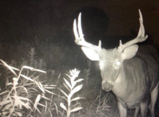 10196 Benson Rd, Floodwood, MN 55736