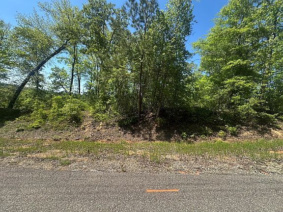 4th image of 5534 County Road 97