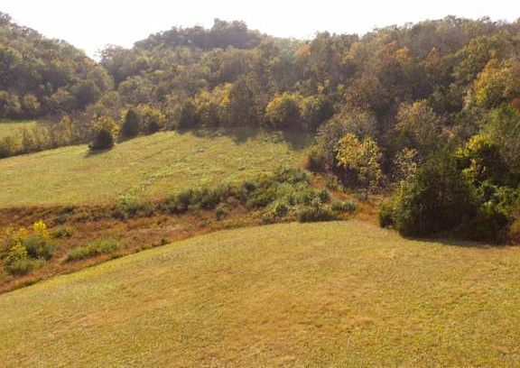 5th image of 643 Carl Dixon Ln