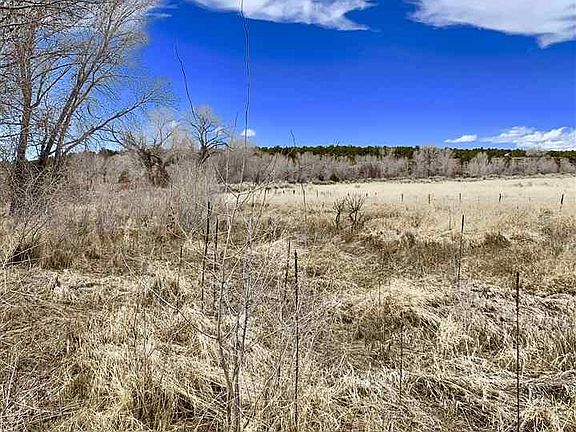 4th image of 3327 County Road 101