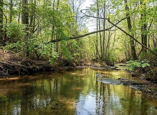 2nd image of 2468 Twisted Oak Rd