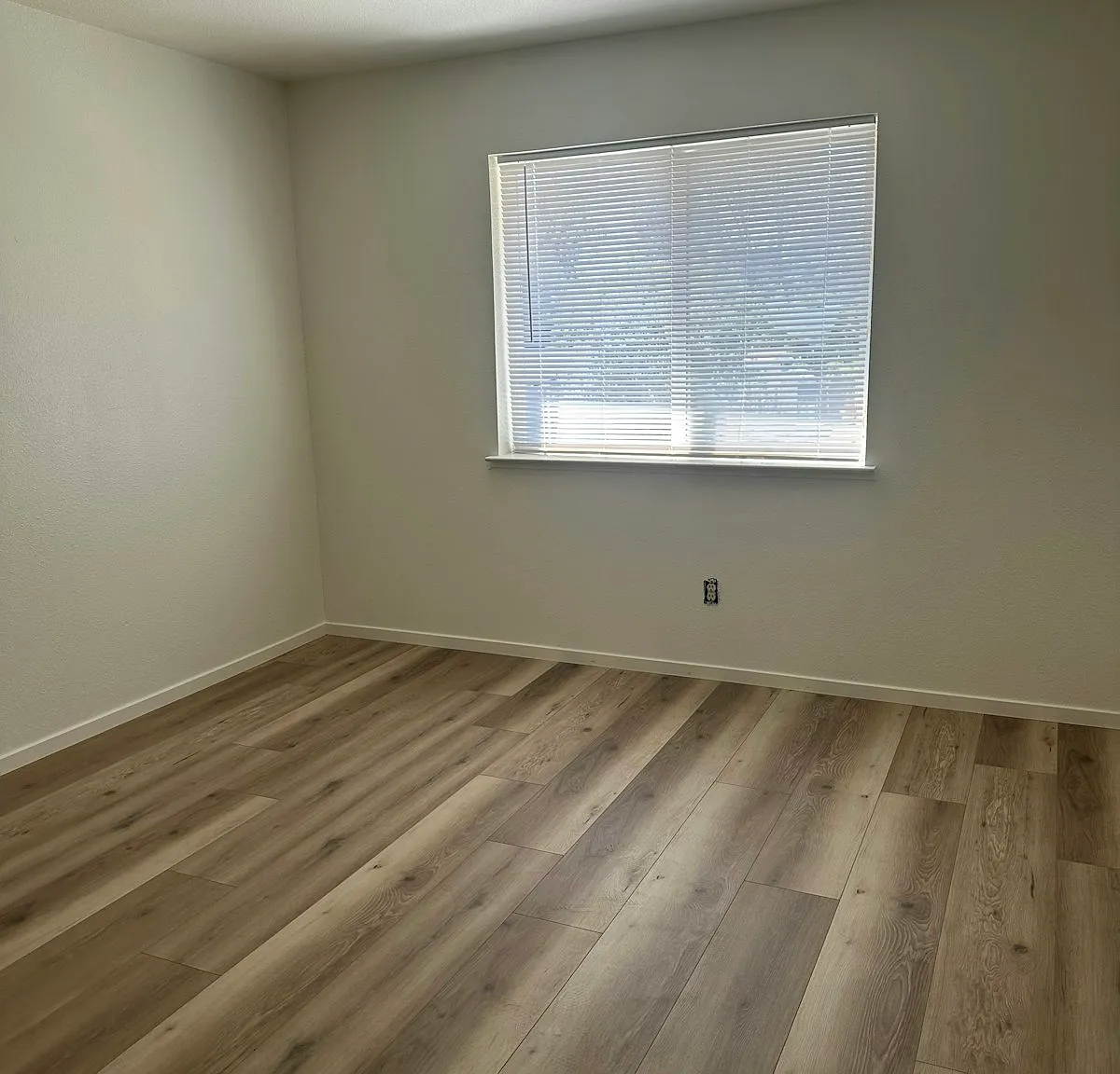 1015 Elizabeth Lane — Photo 4