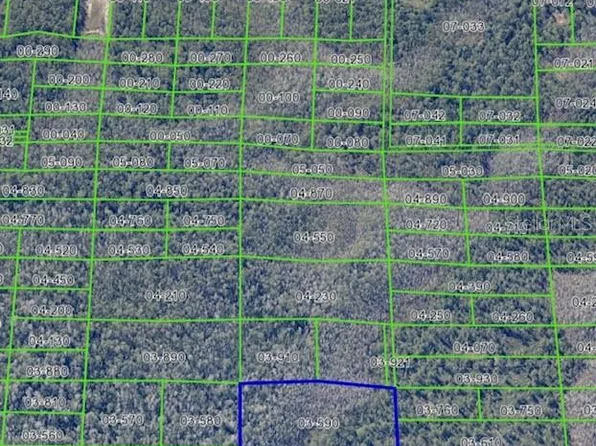 Dill Rd, Christmas, FL 32709