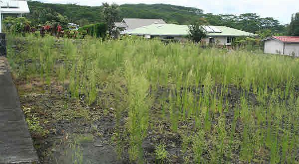 2nd image of Kukuau St Lot 105