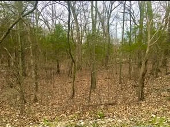 3076 Jackson Dr, Hillsboro, MO 63050