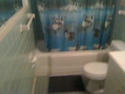 3rd image of 27 S Hollywood Ave APT 1