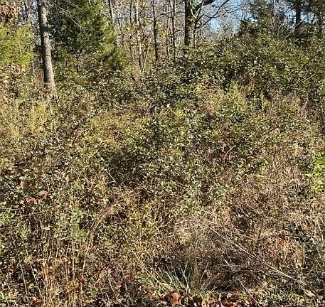 2nd image of Dunkeld Dr #16