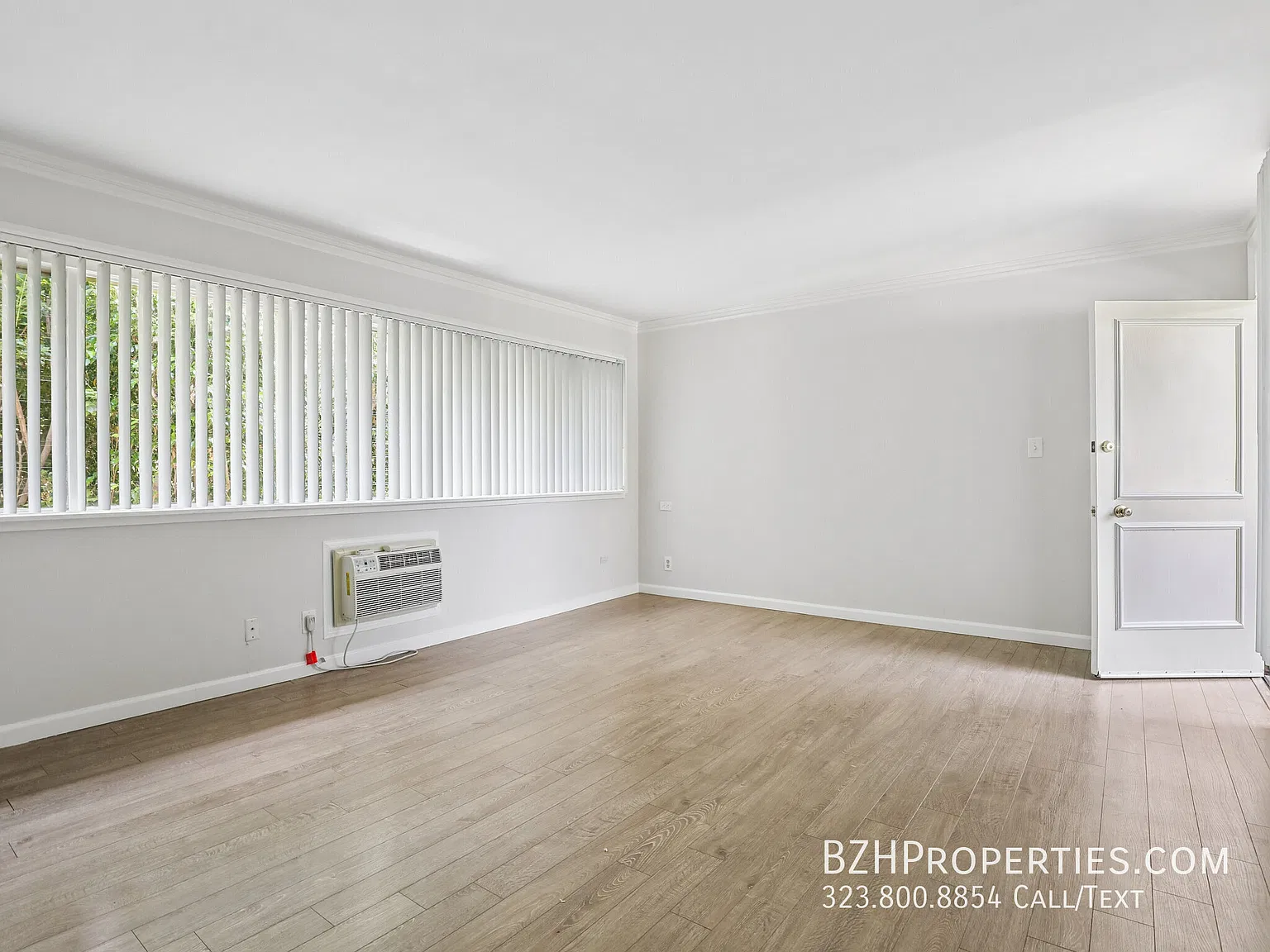 Bright Upper-Level Studio in Prime Hollywood West with Hardwood Floors — Photo 4