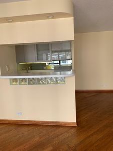 1313 N Ritchie Ct, Chicago, IL, 60610