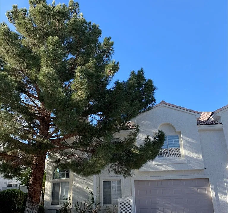 2902 Rivulet Ln