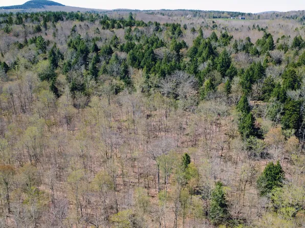 Lot 5 Peakes Hill Road, Dedham, ME 04429