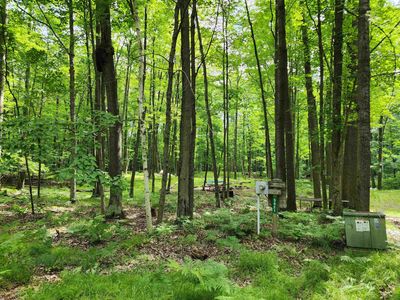 LOT 961 Clover Ter, Farwell, MI, 48622