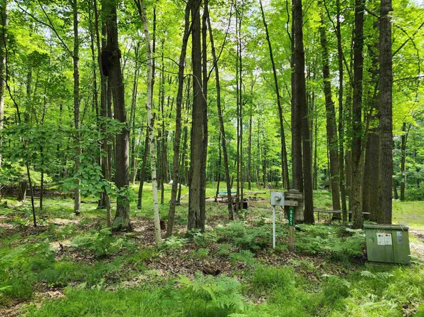LOT 961 Clover Ter, Farwell, MI 48622