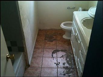 5th image of 1209 Rebecca Ln