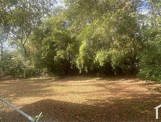 2nd image of 2989 Snow Drop Ct