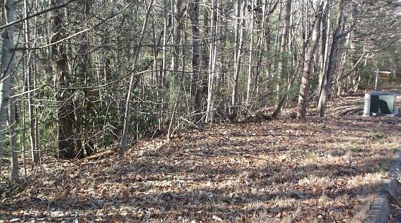 1st image of 1412 Echota Ln