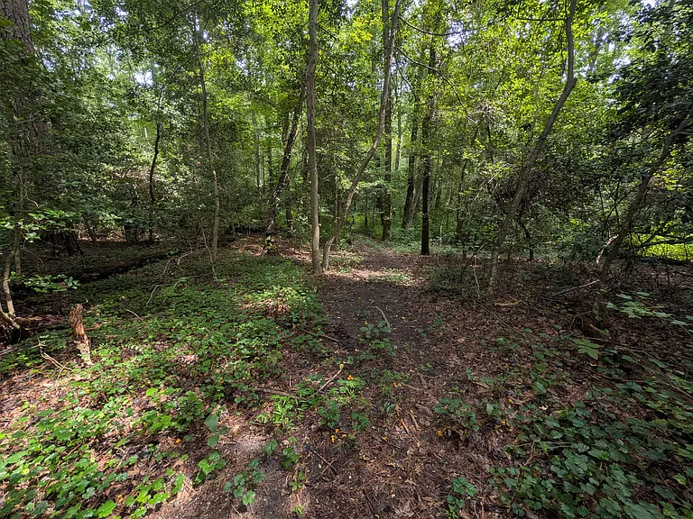 7427 Hickory Rd — Photo 31
