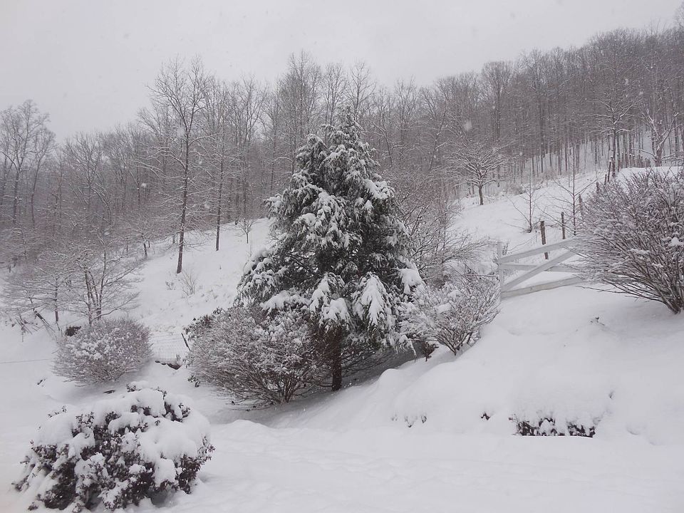 82nd image of this home