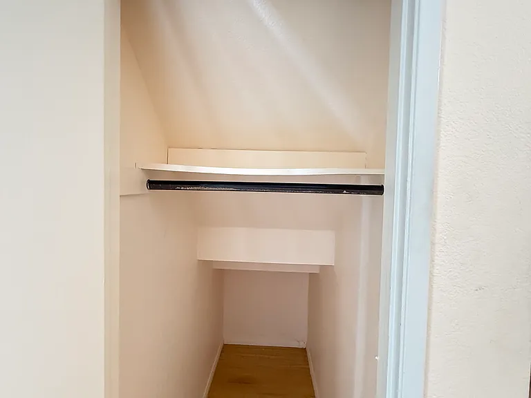 downstairs hall closet