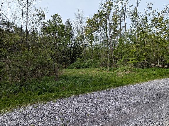 3rd image of 34 Treehaven Rd Lot 25