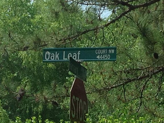 5th image of 4416 Oak Leaf Ct