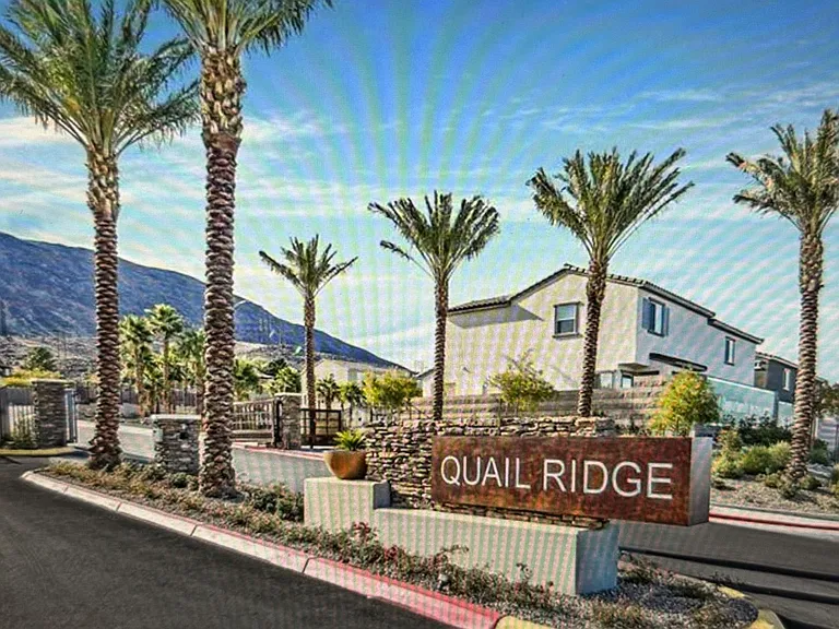 294 Rain Quail Way — Photo 27