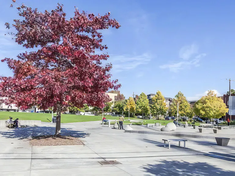 Ballard Commons Park