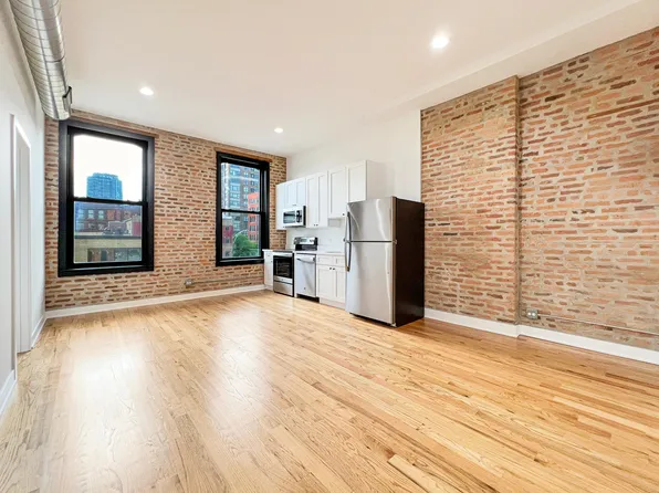 309 W Chicago Ave #301, Chicago, IL 60654