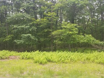 114 Falling Brook Way, Hawley, PA, 18428