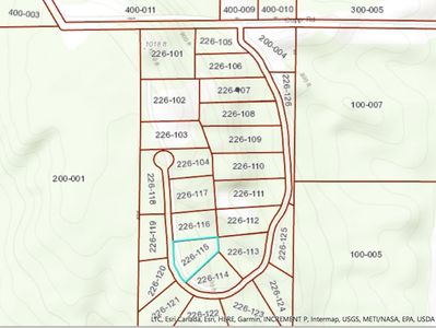 5296 Burt Lake Views Dr, Alanson, MI, 49706