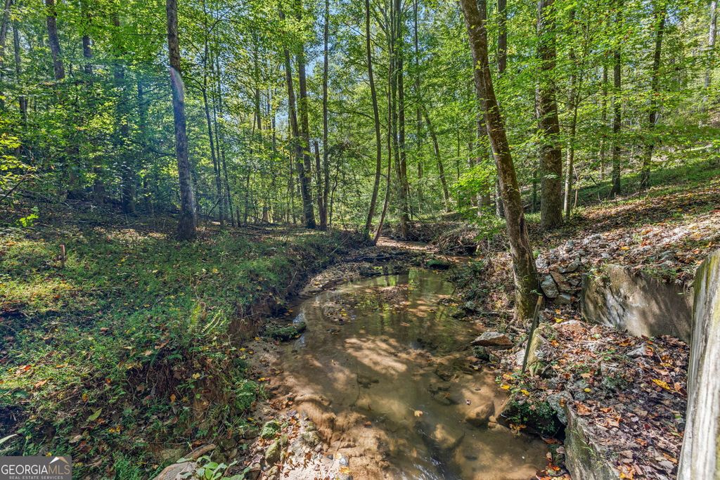 205 Whitewater Rd, Demorest, GA - View 3