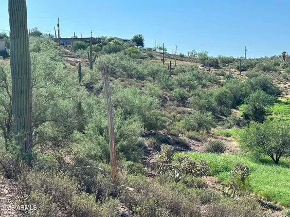 209 N ELIZABETH Street #103, Gold Canyon, AZ 85118