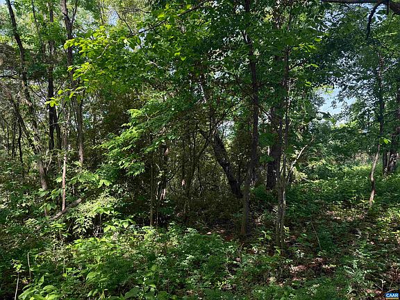 4th image of 1A Eagles Nest Dr